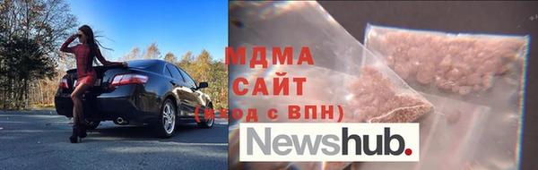сатива Новодвинск