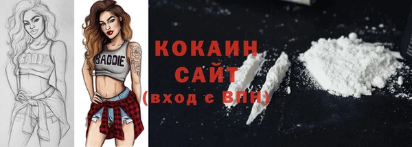 ешки Новозыбков