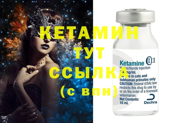 сатива Новодвинск