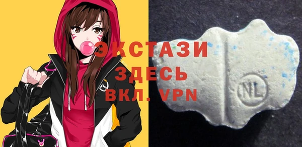 сатива Новодвинск