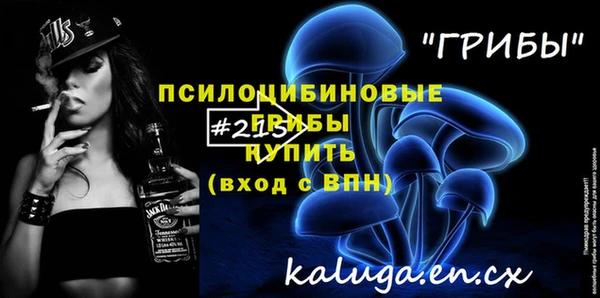 ешки Новозыбков
