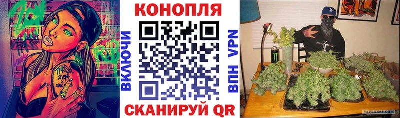 Конопля OG Kush  Красноуральск 
